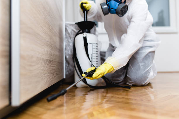 Best Wildlife Control Services  in Maybrook, NY