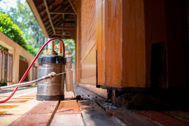 Best Insect Control  in Maybrook, NY